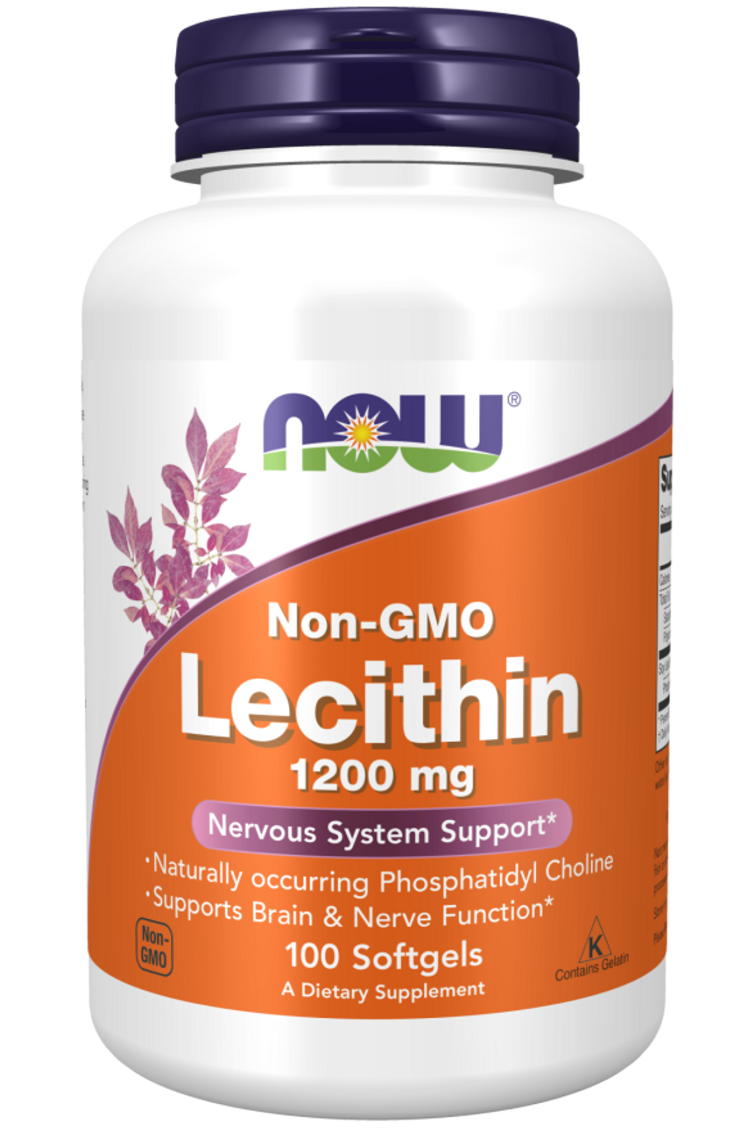 Lecithin 100sgels