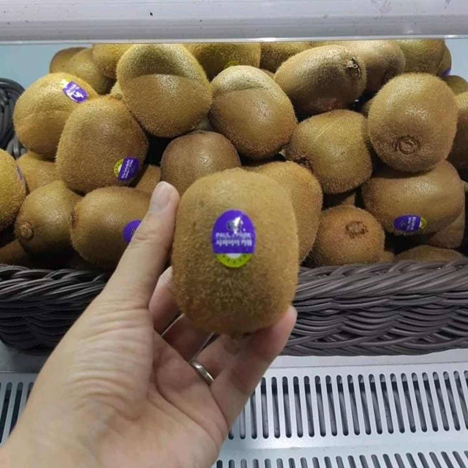 КИВИ (Gold Kiwi ) ширхэг