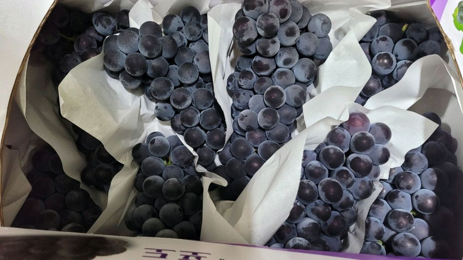 УСАН ҮЗЭМ /Campbell Grape kg/