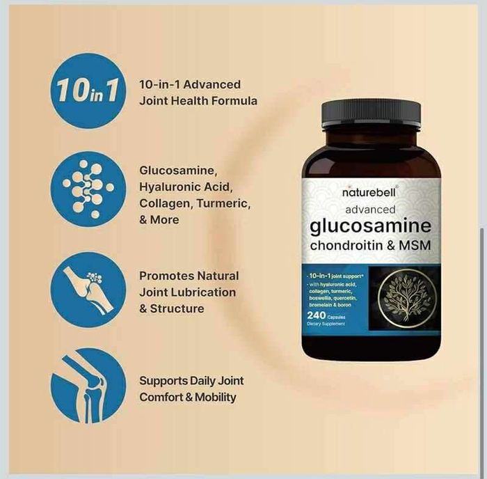  Glucosamine Chondroitin & MSM 