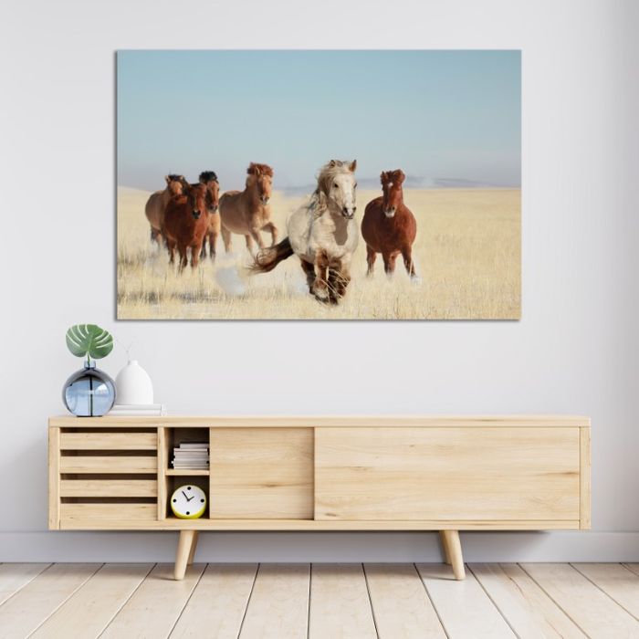 Монгол морьд