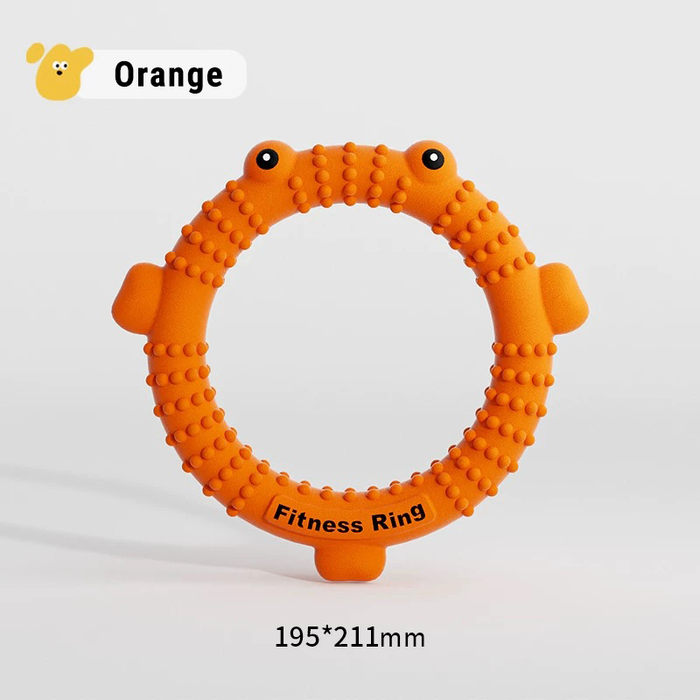Fithness ring - Цагираган тоглоом