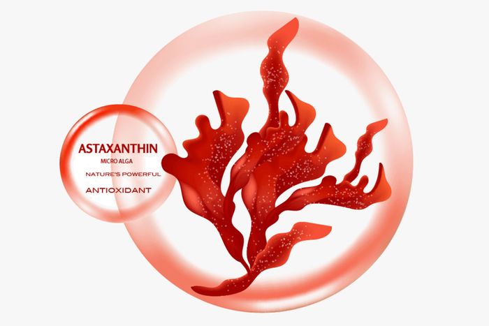 БАЙГАЛИЙН ГАРАЛТАЙ АНТИОКСИДАНТ