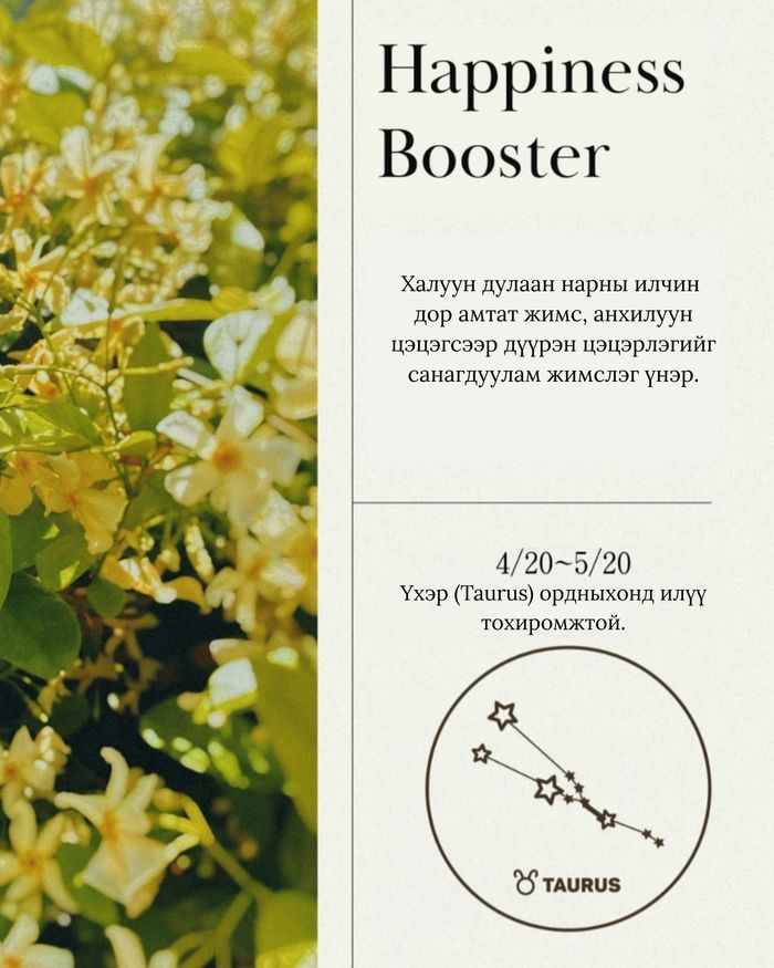 Perfume Hand Cream 50ml Happiness Booster