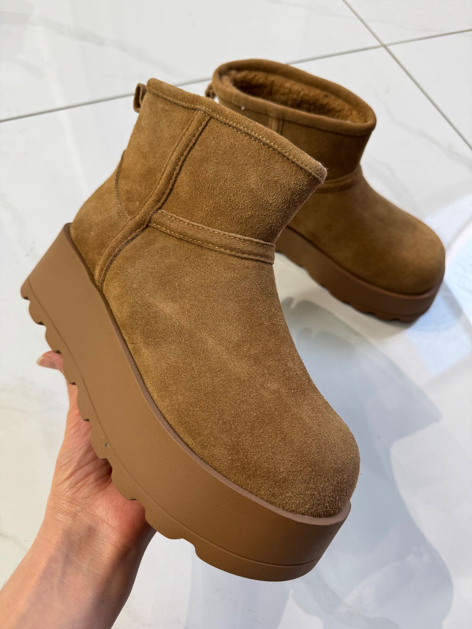 Бойтог шаргал