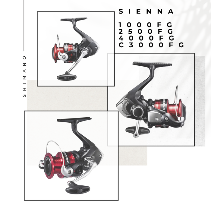 SHIMANO - SIENNA
