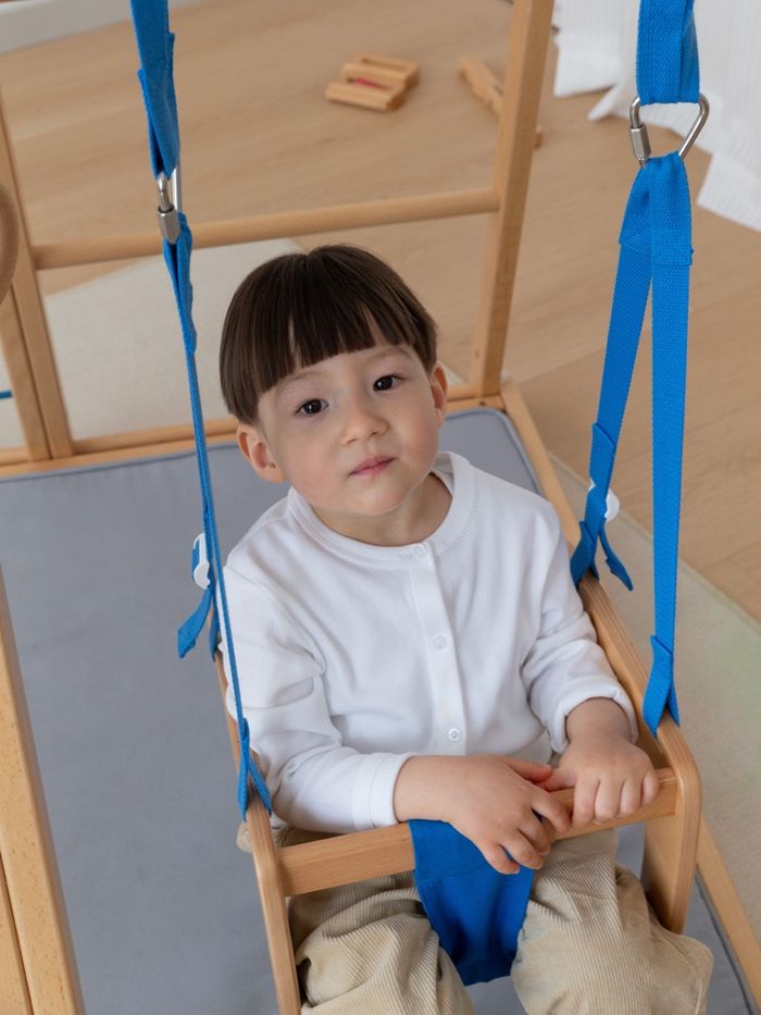 Preorder:Baby swing blue
