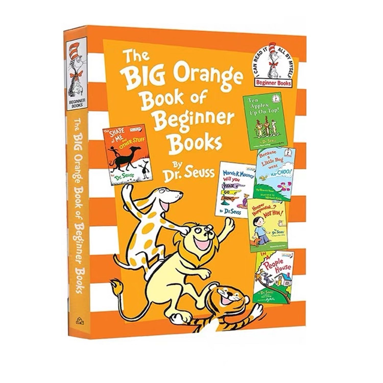 The BIG ORANGE BOOK for beginner books