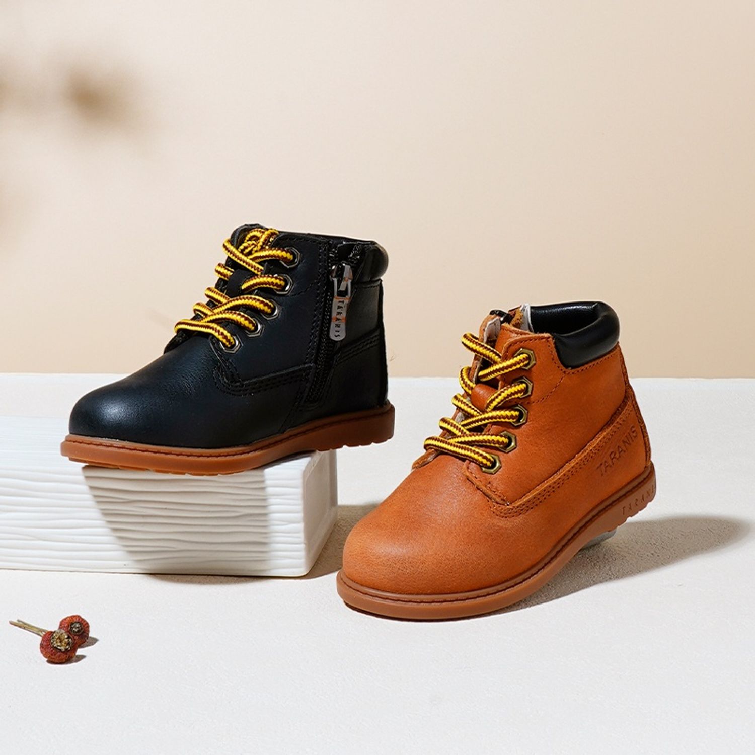 Арьсан гутал