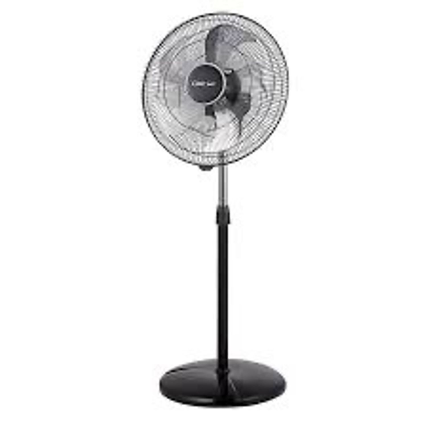 Сэнс Fan