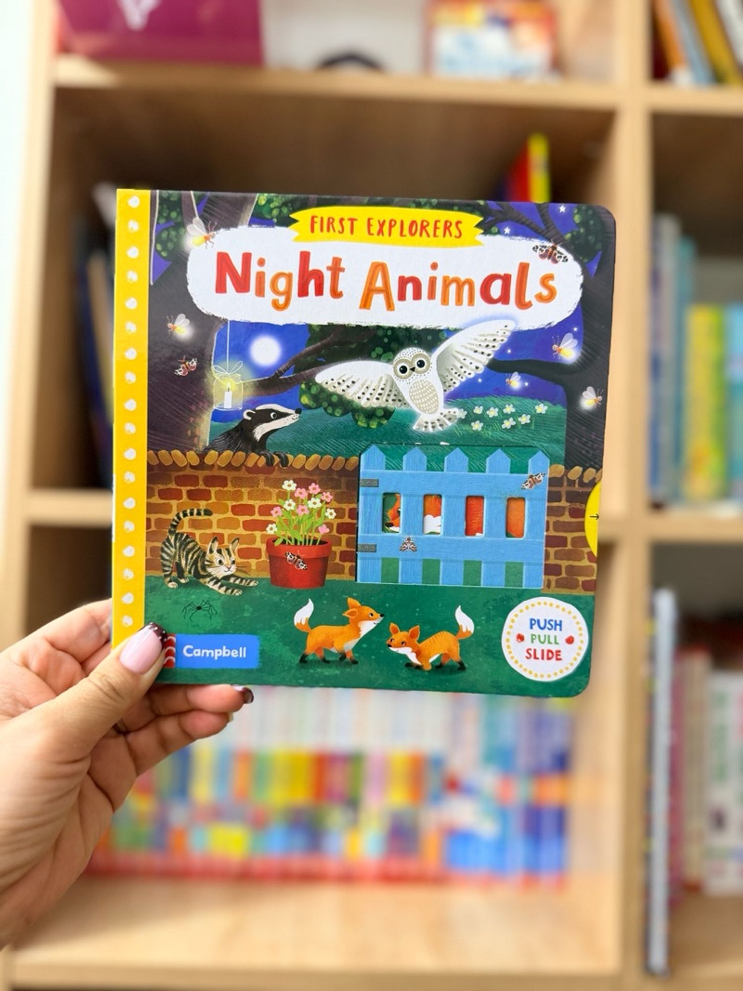 First explorers-Night Animals