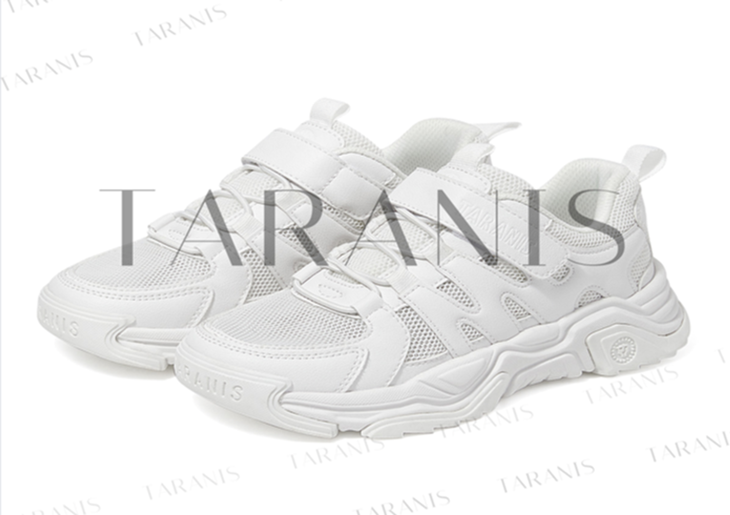 Сеткэн пүүз