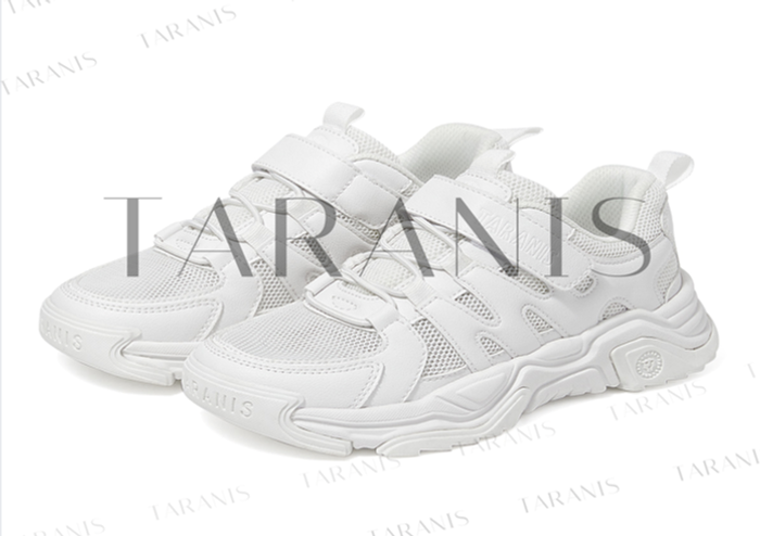 Сеткэн пүүз