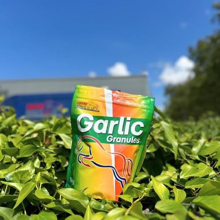 Сармисны нунтаг