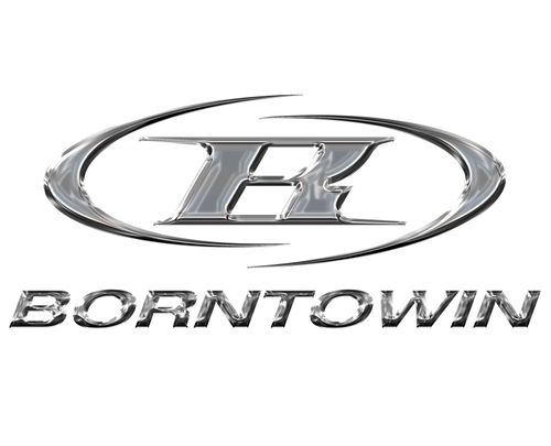 BORNTOWIN