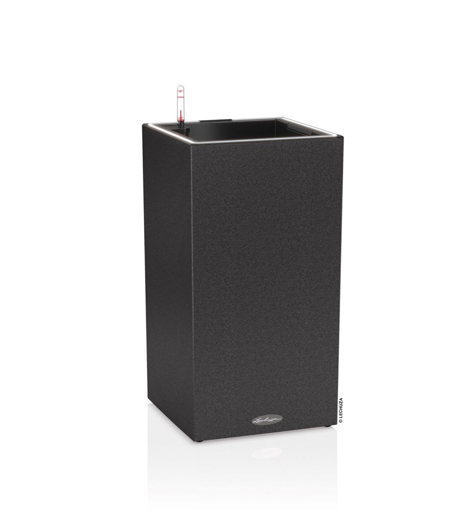 CANTO LED High