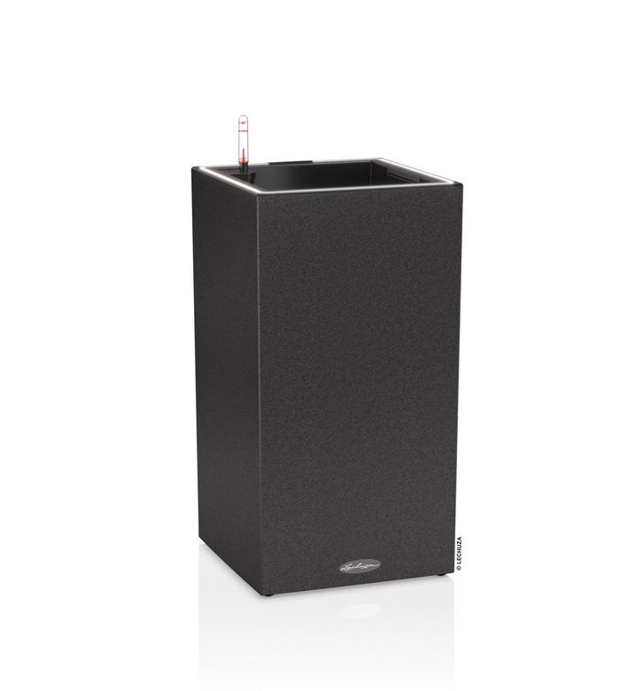 CANTO LED High