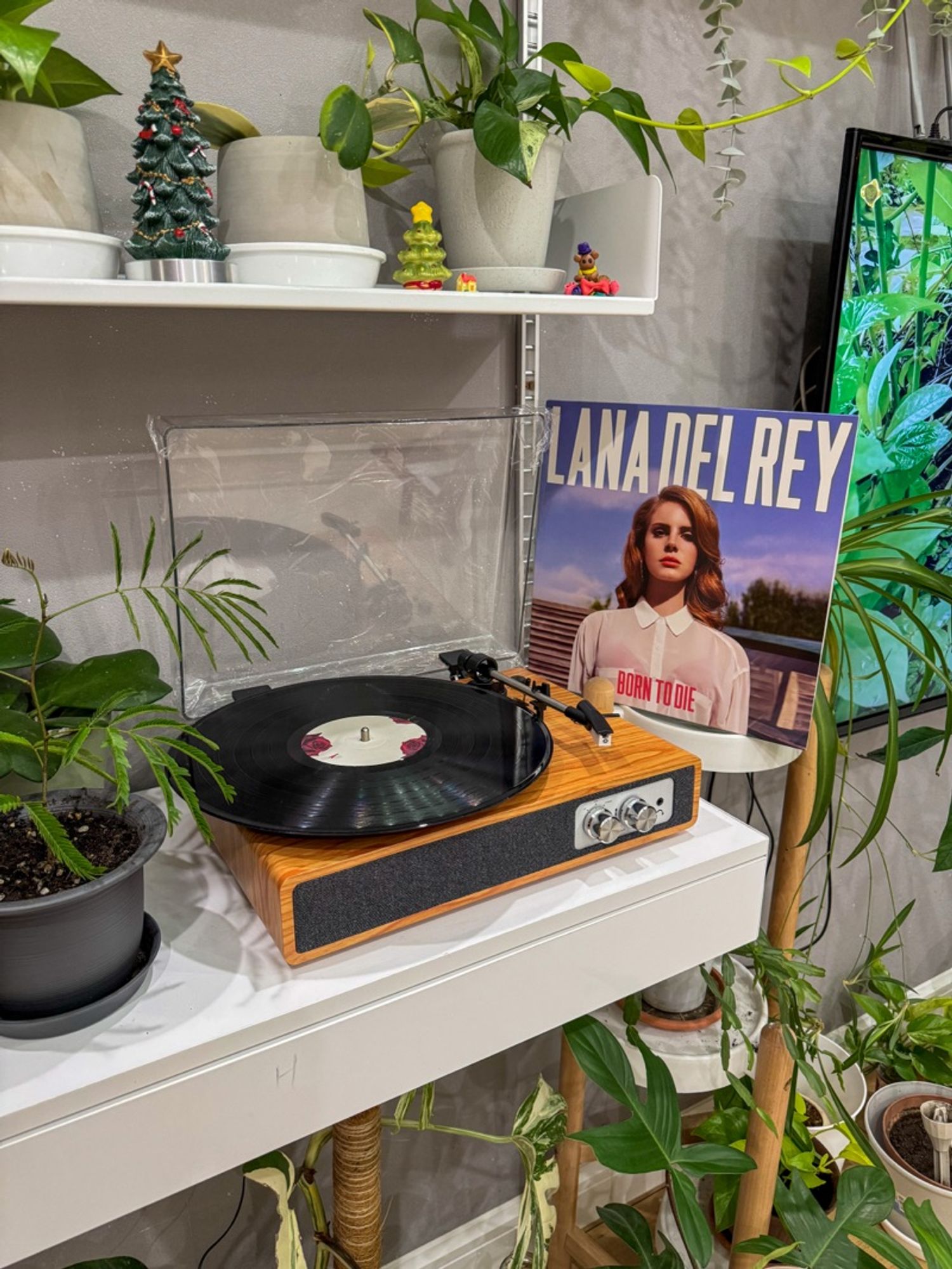 Zenly пянз тоглуулагч