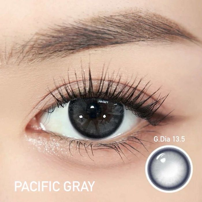 Pacific Gray