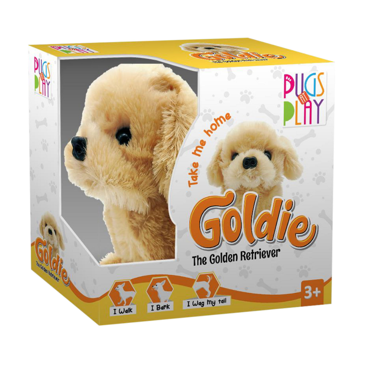 PAP Goldie Walking Dog