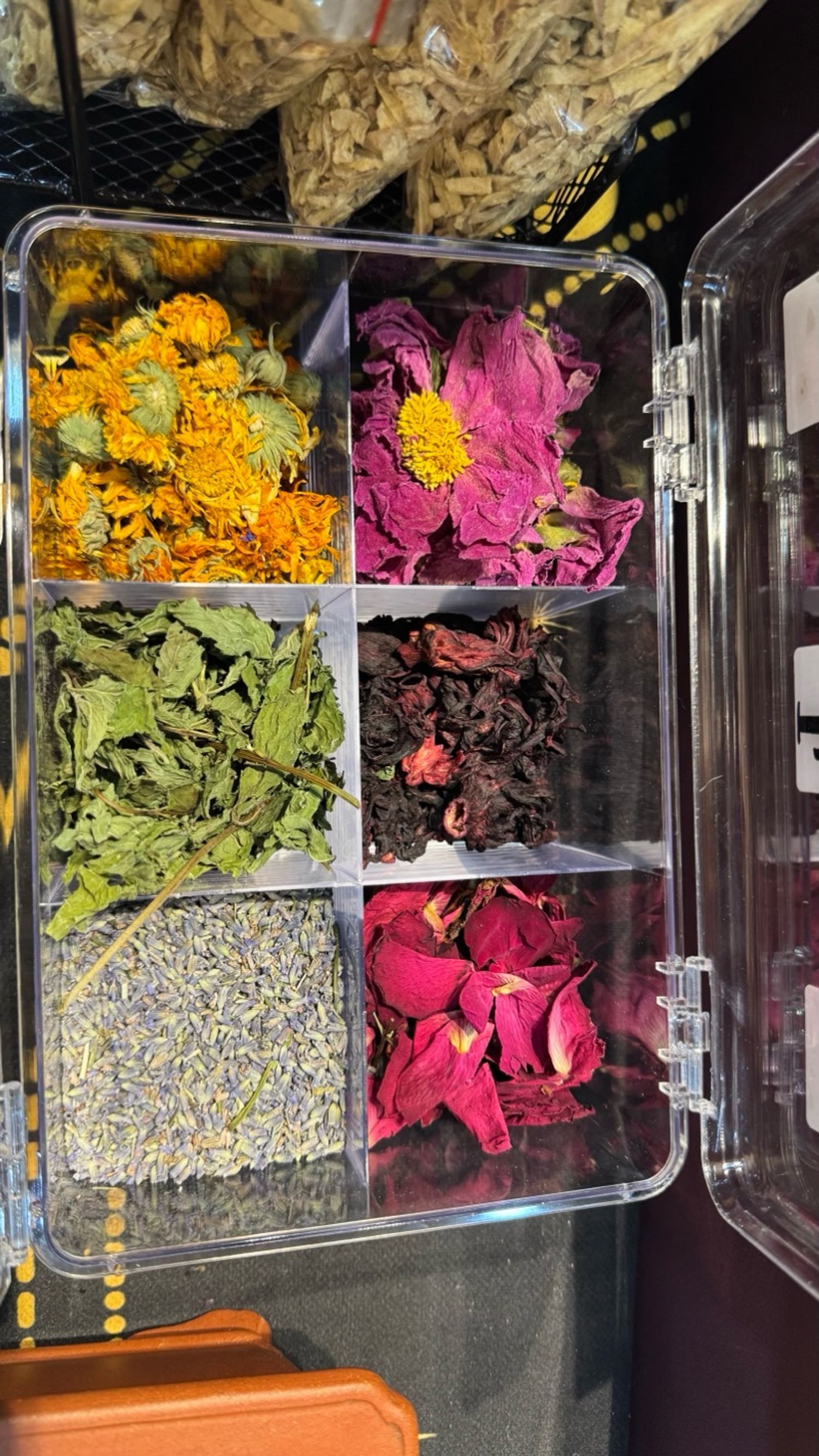 Зан үйлийн ургамал