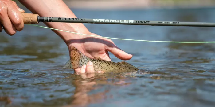 REDINGTON - WRANGLER TROUT KIT