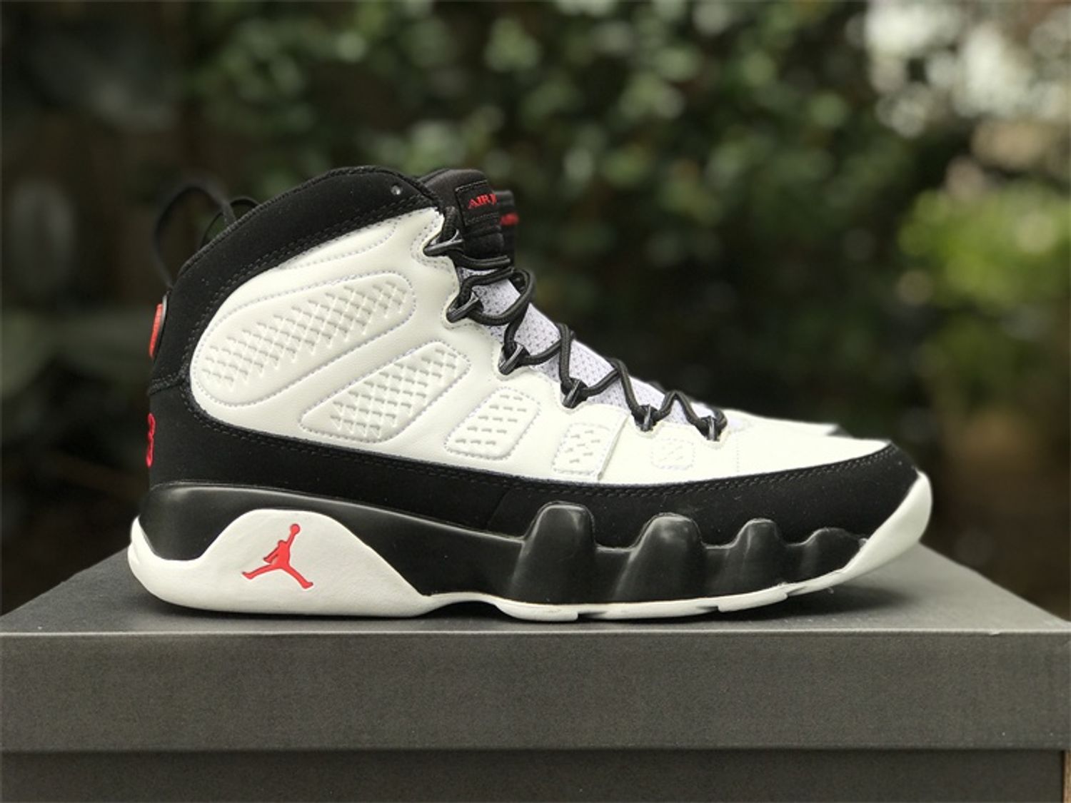 Air Jordan 9 “Space Jam”