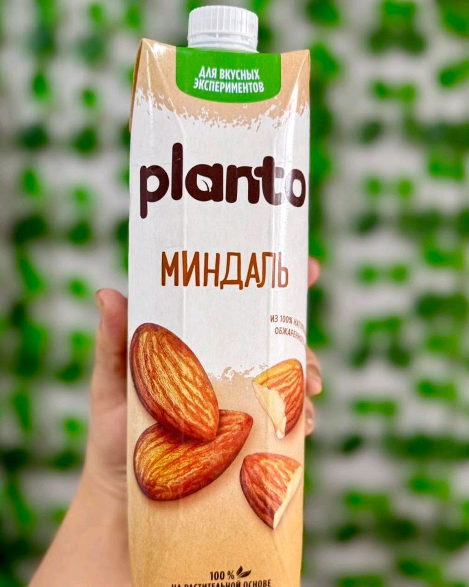 Миндаль самрын сүү