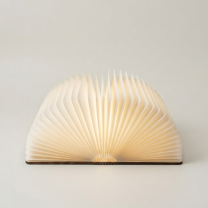 Номон Гэрэл