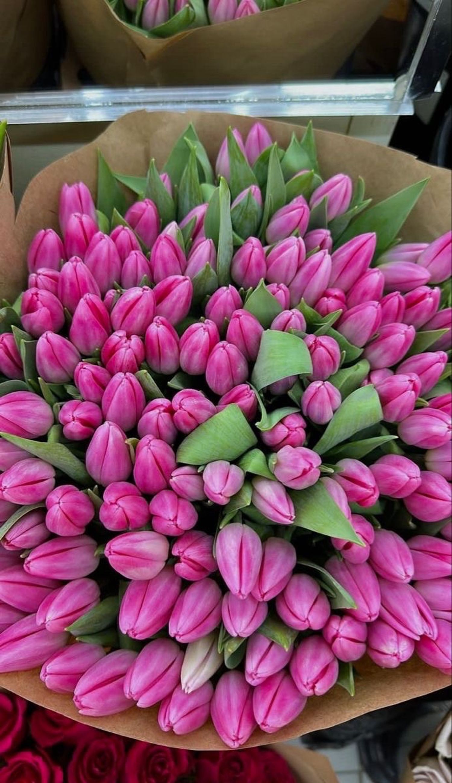 Голланд алтанзул  