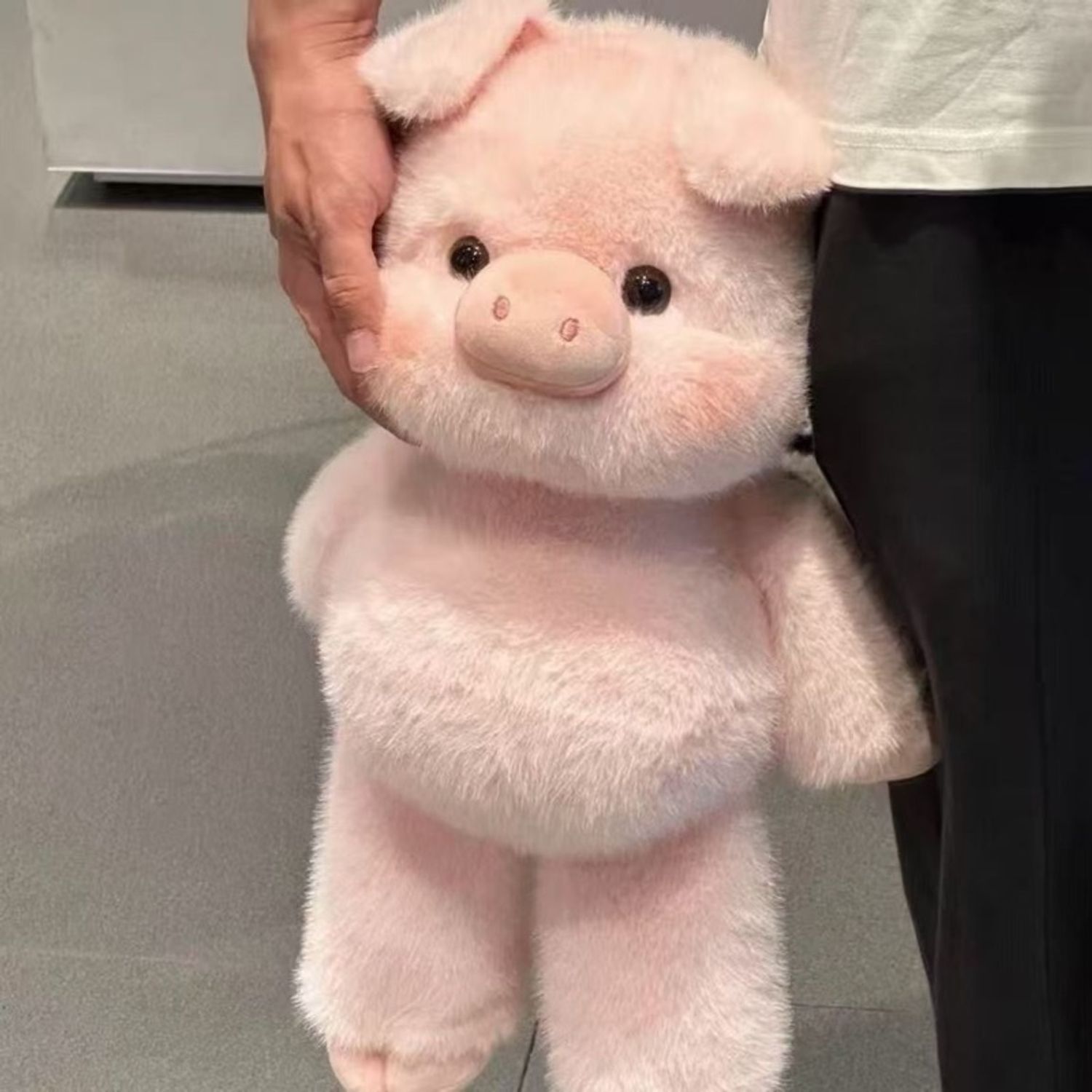https://cdn.zochil.shop/088eb986-9722-41ec-8481-b4b09ac3820e_t1500.jpg