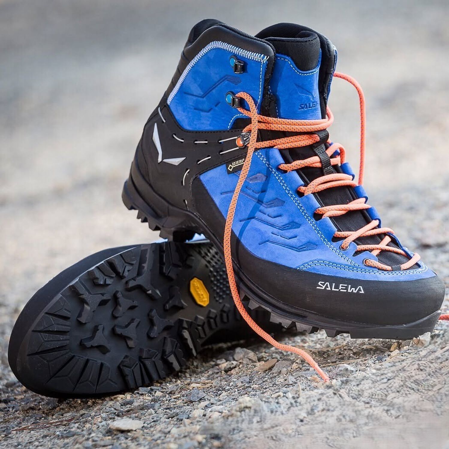 Salewa | Rapace | GTX | Men 