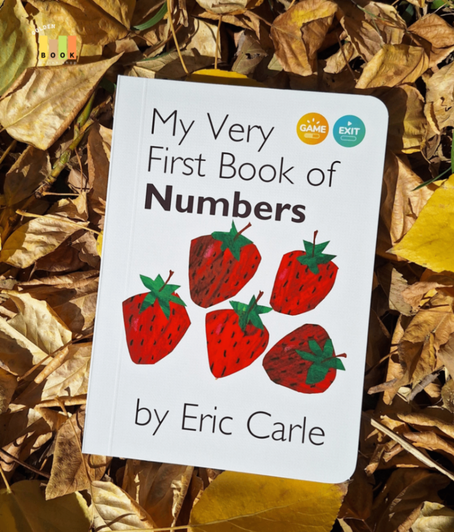 My Very First Book of Numbers