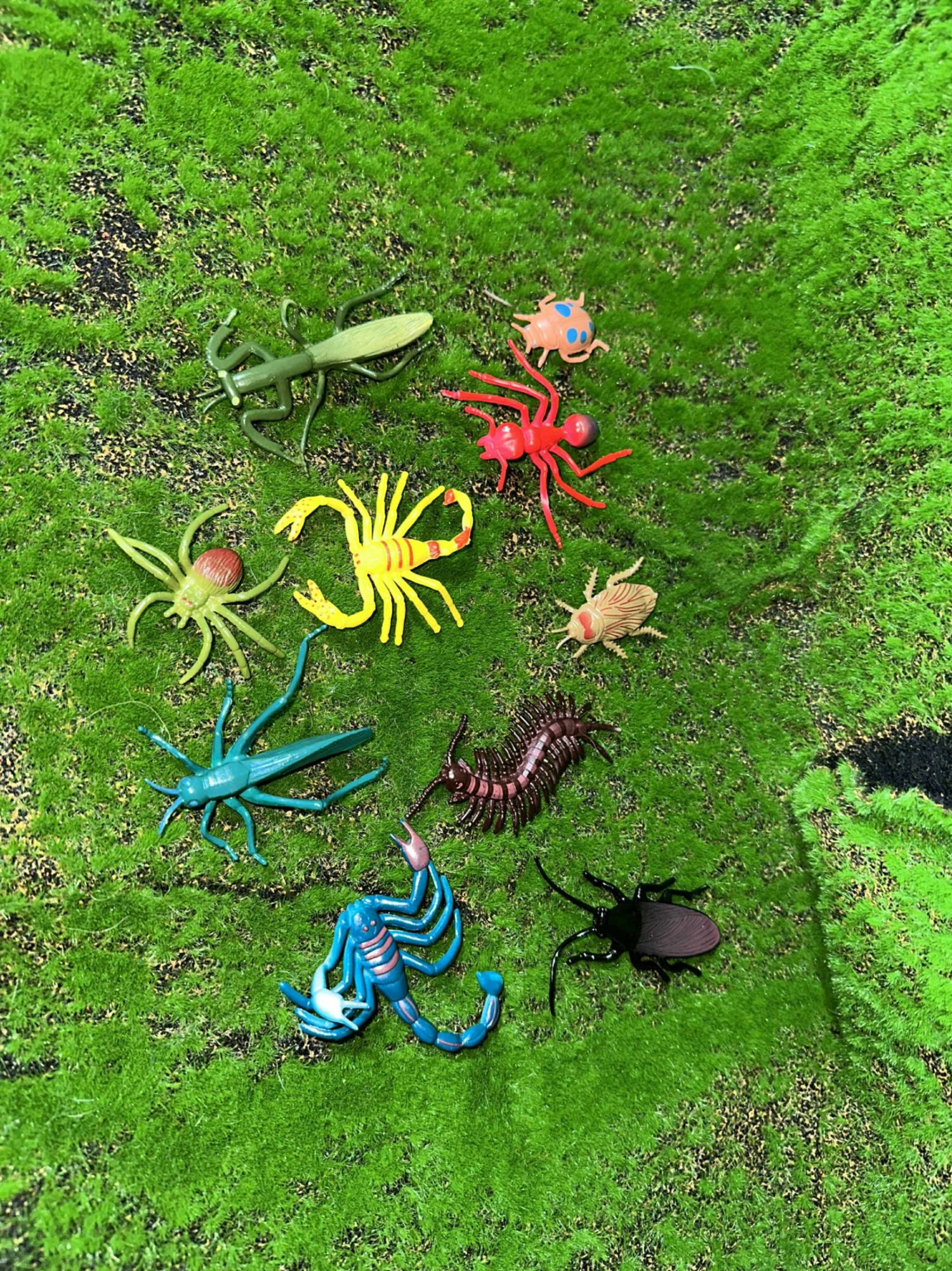 Жижиг шавж багц 