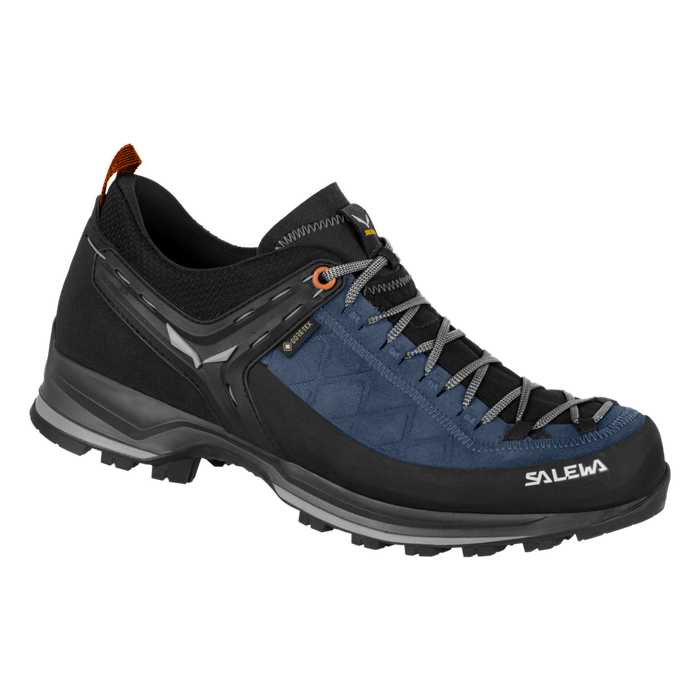 Salewa | Mountain Trainer 2 | GTX | Men 