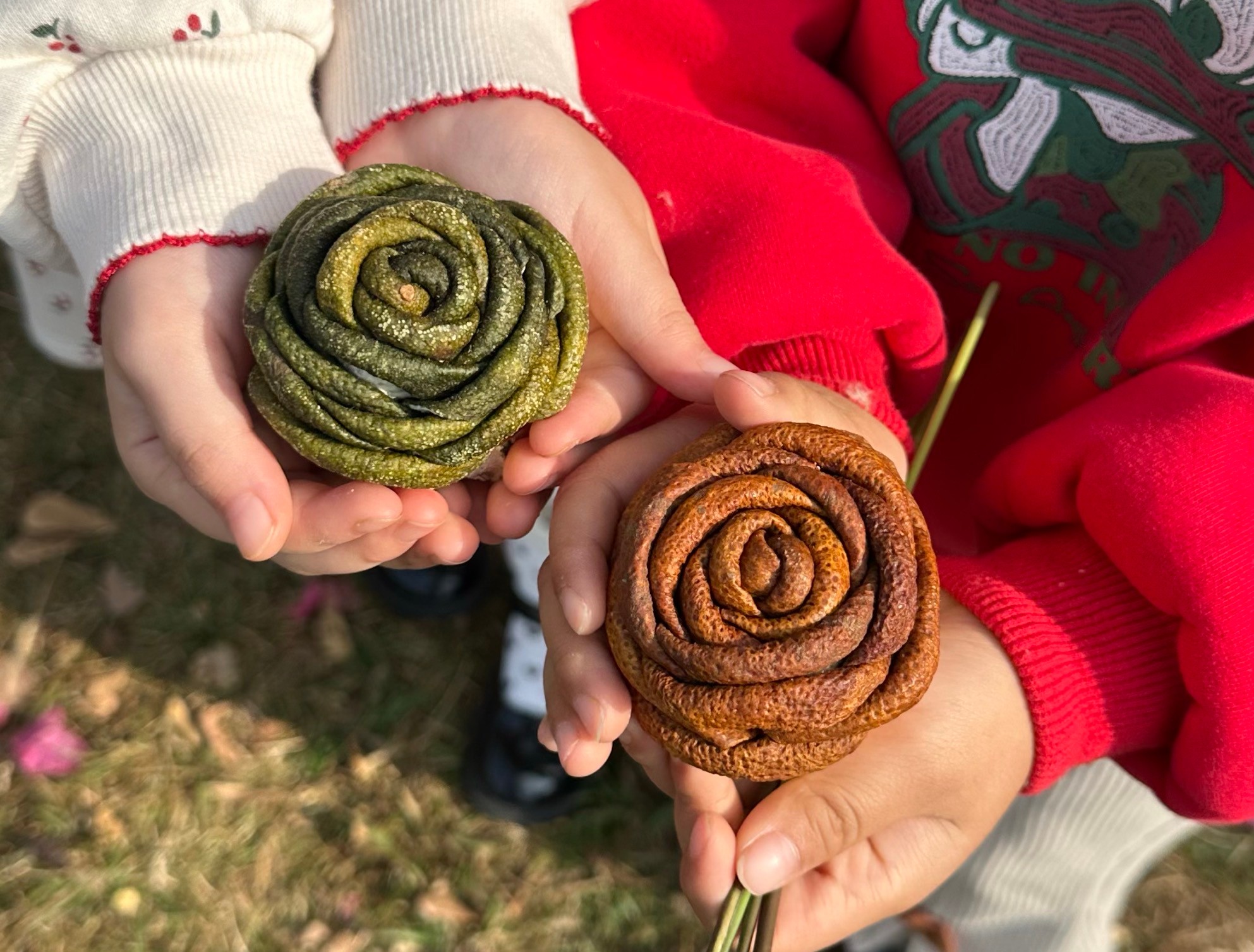 "Ногоон сарнай" ба "Улаан сарнай" Мандарины хатаасан хальс - Tangerine Peel - ChenPi