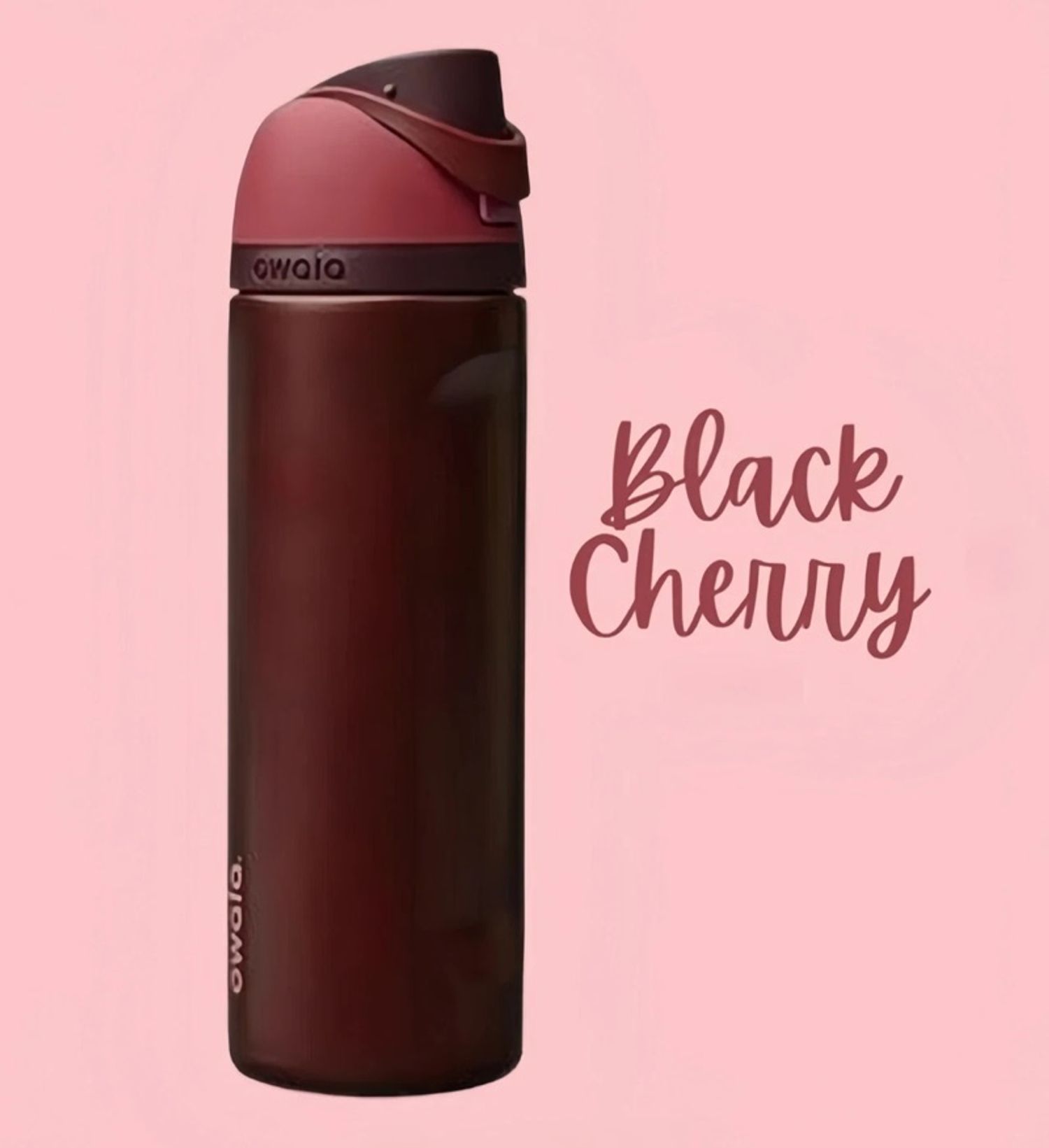 Black Cherry 24oz 