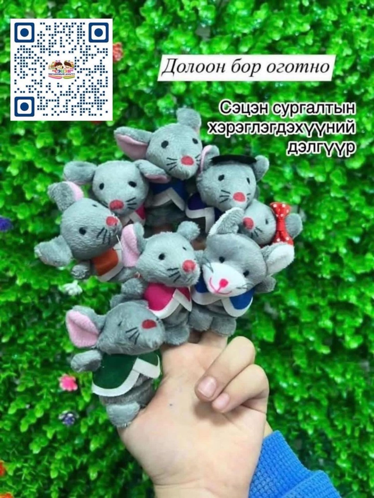 Долоон бор оготно 