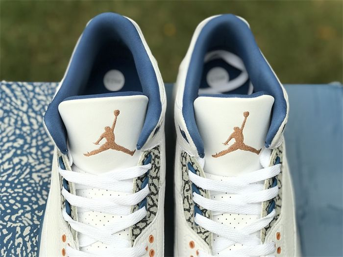 Air Jordan 3 “Wizards”