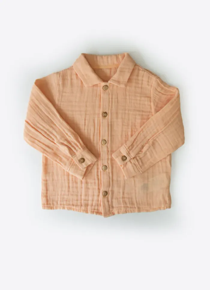 Тааран цамц