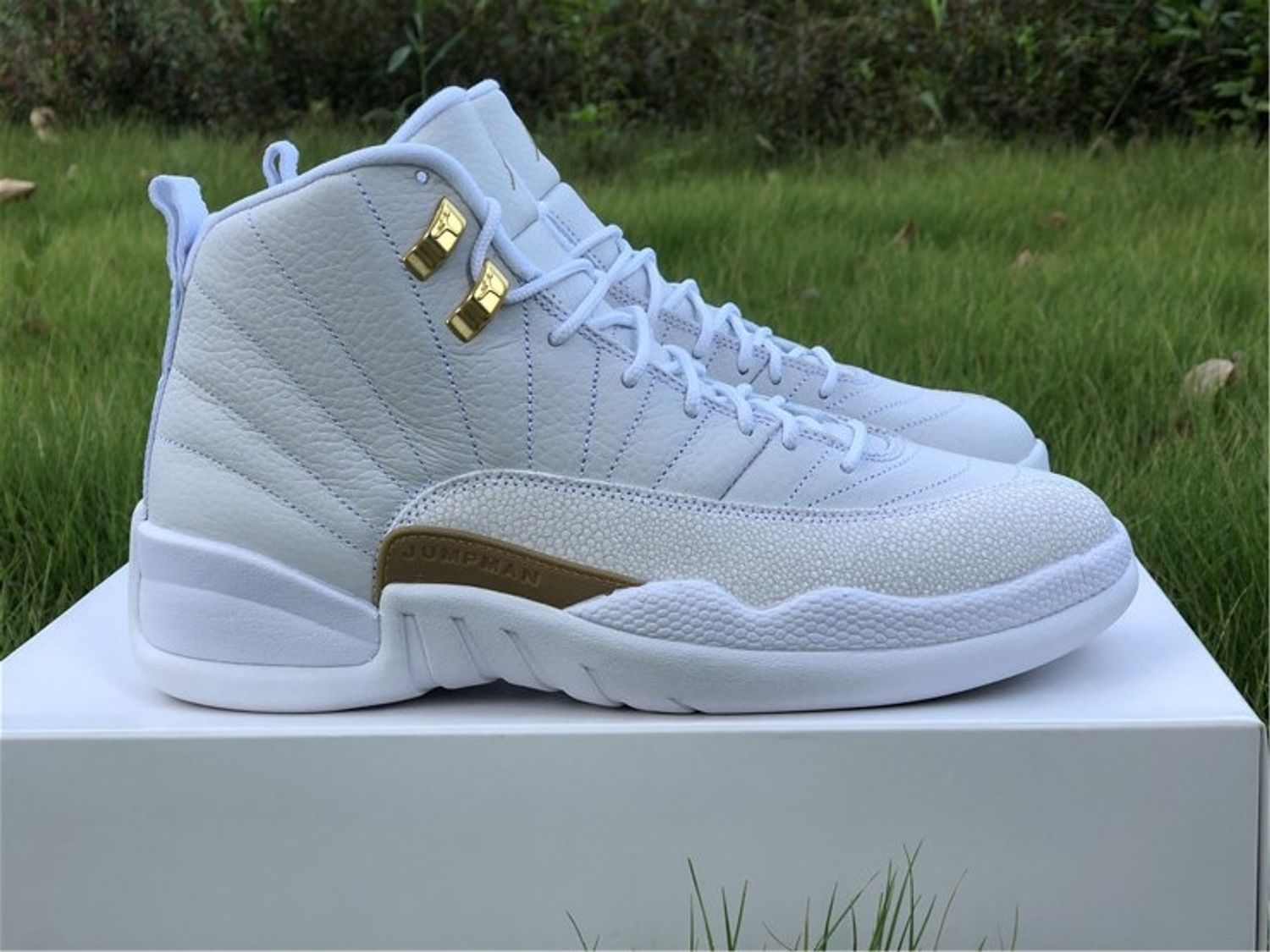  Air Jordan 12 OVO “White 