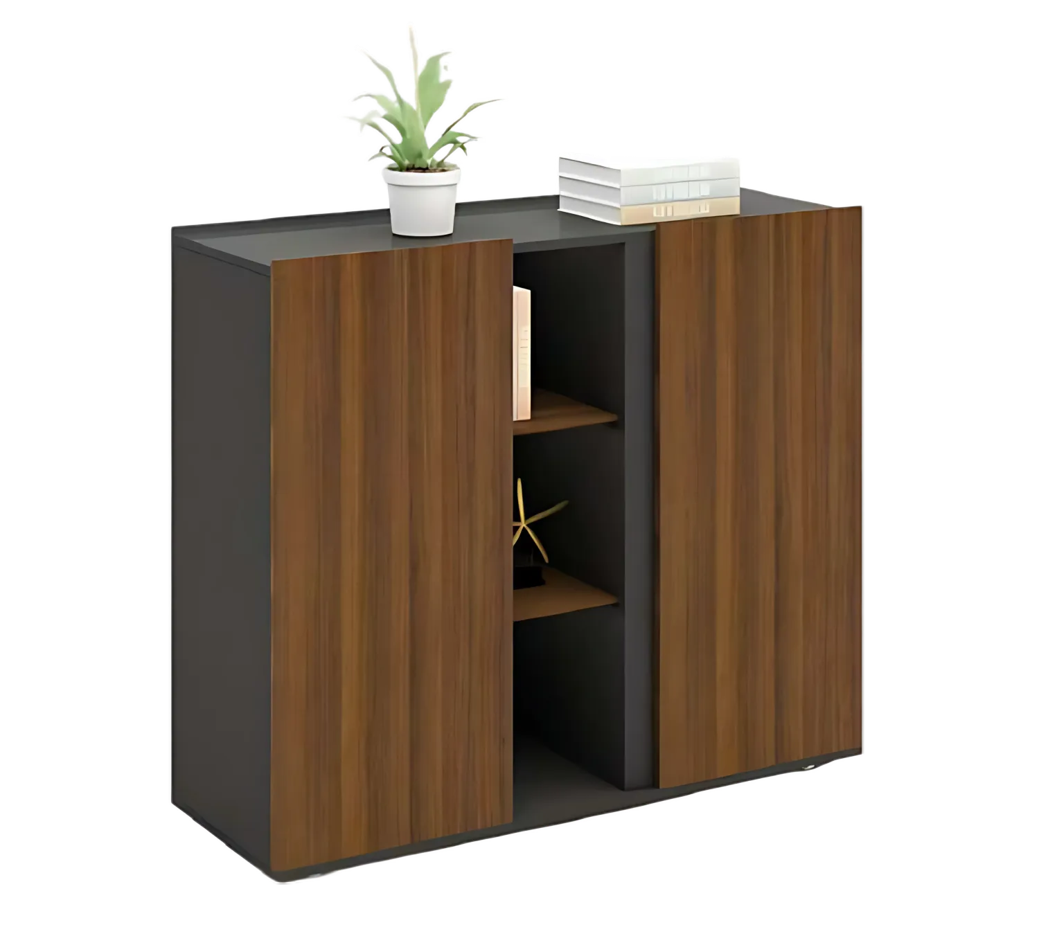 Туслах модон шүүгээ