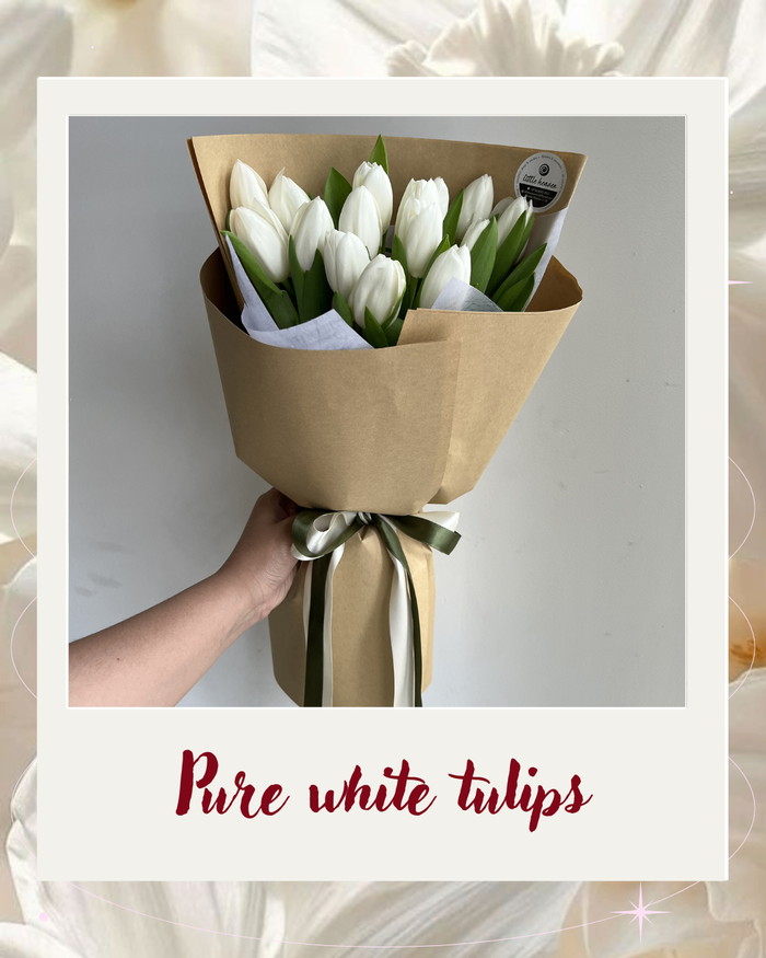 Pure white tulips