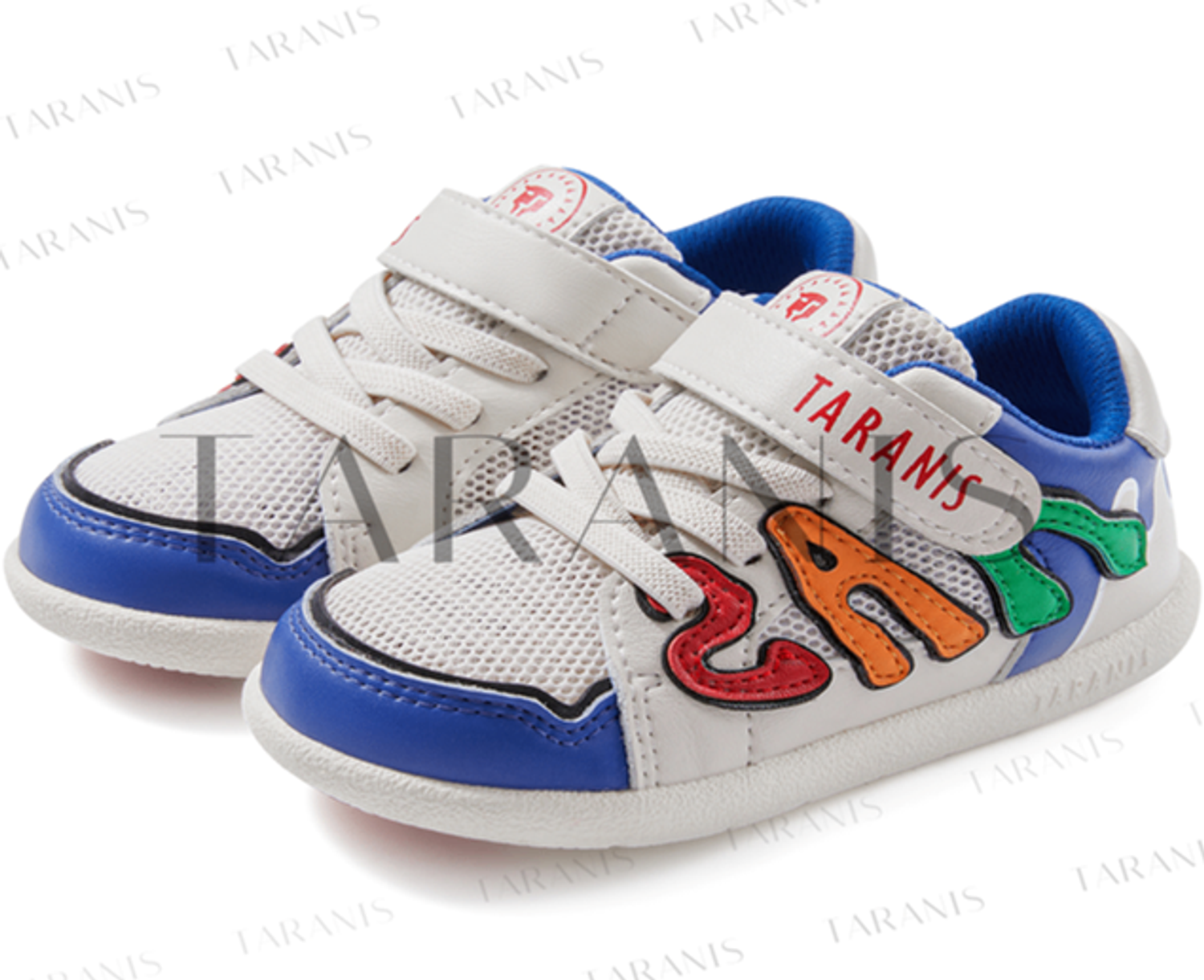 Сеткэн пүүз