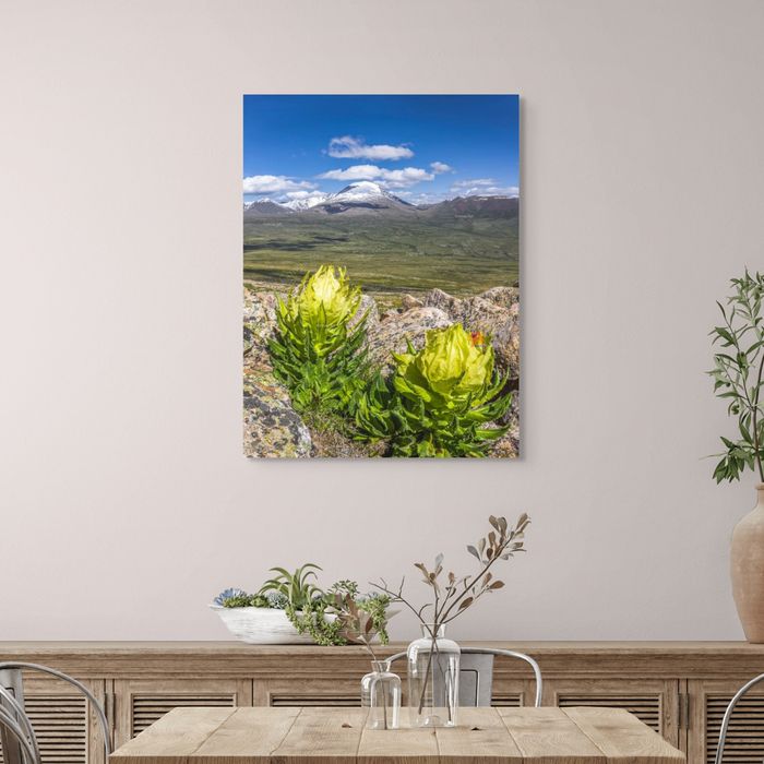 Отгонтэнгэр хайрхан 