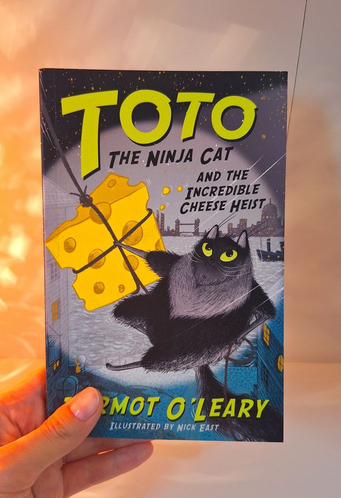 Toto the Ninja Cat 