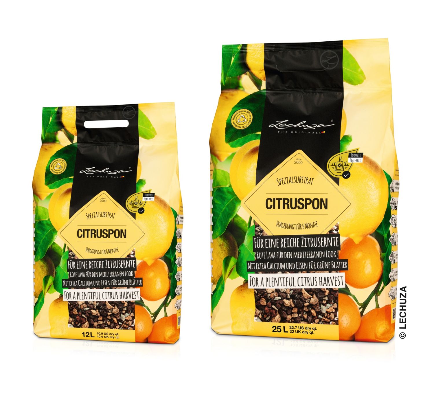 Citrus Pon 