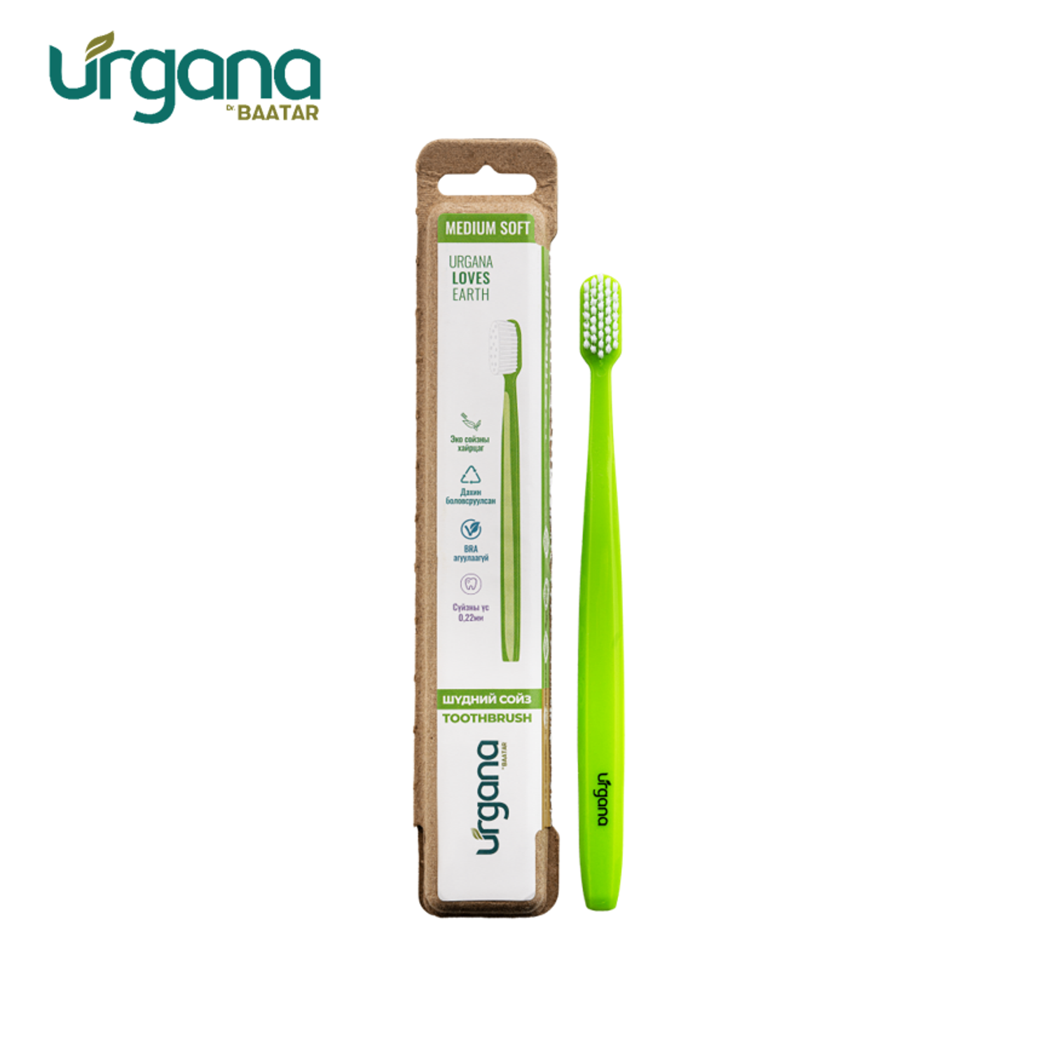 Том хүний сойз / Ногоон /