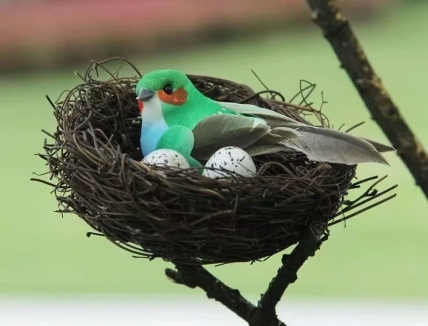 Үүртэй шувуу