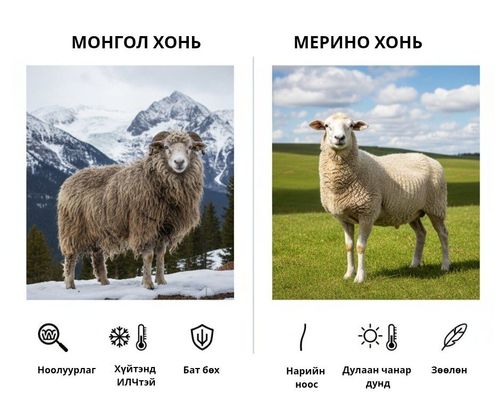 Яагаад Монгол хонины ноосыг сонгох вэ?